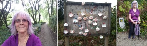 camino de santiago, porto to santiago, portuguese coastal route, portuguese central way, tui to santiago, pilgrimage to santiago, solo women on the camino, camino for women over 60, baby boomers travel, walk 1000 miles