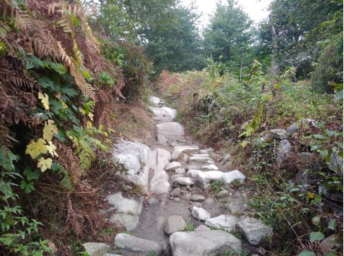 concello de pontevedra, camino de santiago, porto to santiago, portuguese coastal route, portuguese central way, tui to santiago, pilgrimage to santiago, solo women on the camino, camino for women over 60, baby boomers travel, walk 1000 miles