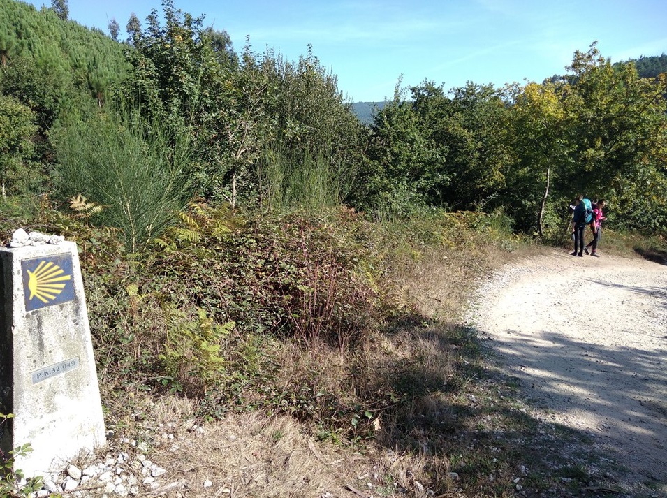 caldas de reis to padron, camino de santiago, porto to santiago, portuguese coastal route, the camino portugues, walk 1000 miles, travel diaries, not just a granny, walking the camino, snapshots of spain,