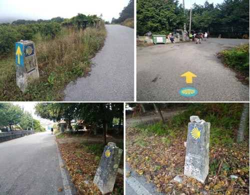 concello de pontevedra, camino de santiago, porto to santiago, portuguese coastal route, portuguese central way, tui to santiago, pilgrimage to santiago, solo women on the camino, camino for women over 60, baby boomers travel, walk 1000 miles