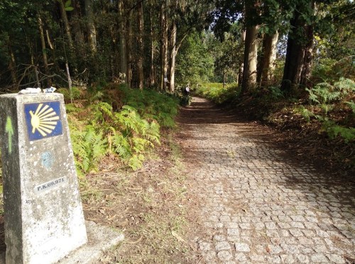 concello de pontevedra, camino de santiago, porto to santiago, portuguese coastal route, portuguese central way, tui to santiago, pilgrimage to santiago, solo women on the camino, camino for women over 60, baby boomers travel, walk 1000 miles