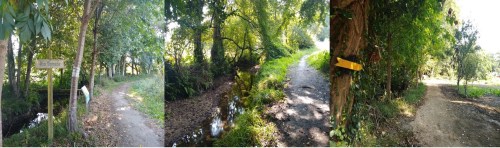 concello de pontevedra, camino de santiago, porto to santiago, portuguese coastal route, portuguese central way, tui to santiago, pilgrimage to santiago, solo women on the camino, camino for women over 60, baby boomers travel, walk 1000 miles