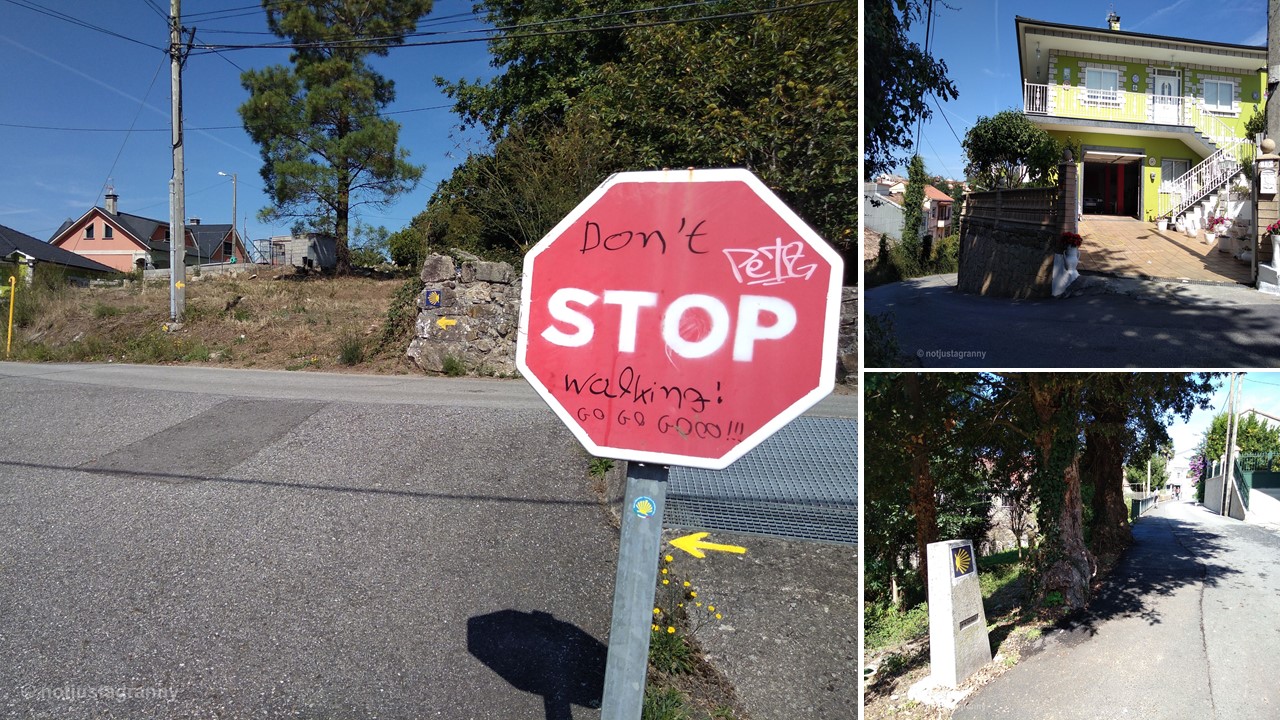 caldas de reis to padron, camino de santiago, porto to santiago, portuguese coastal route, the camino portugues, walk 1000 miles, travel diaries, not just a granny, walking the camino, snapshots of spain,