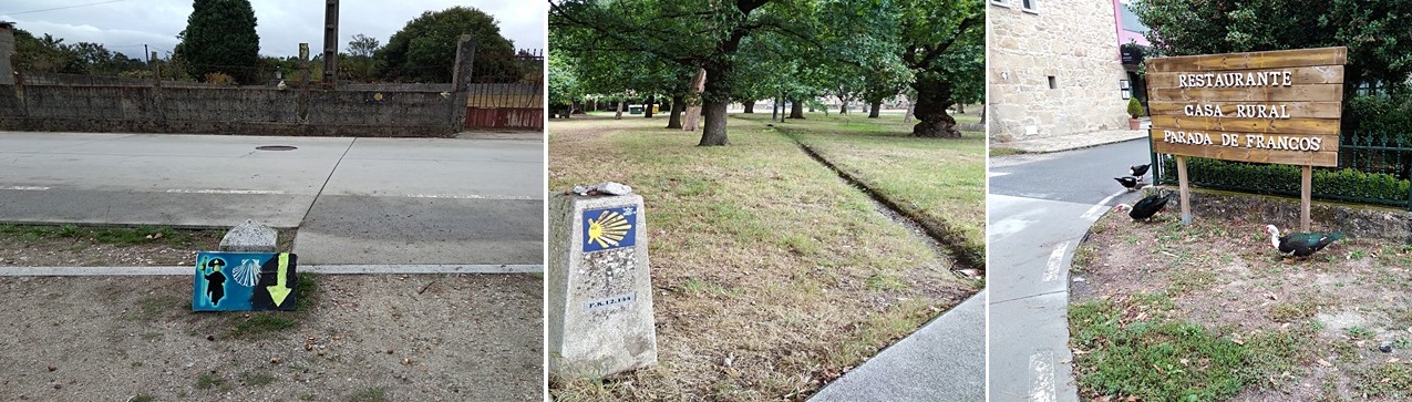 padron to santiago, camino portuguese, porto to santiago, pilgrimage to santiago, the way of st james, walking to santiago, pilgrimage to santiago de compostela, not just a granny, visit spain,