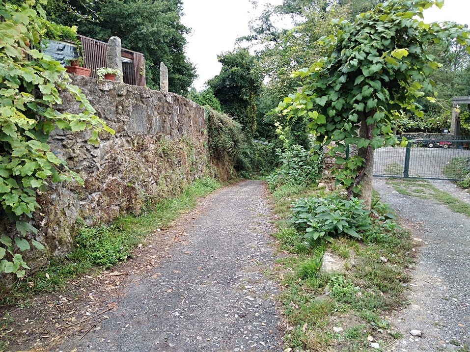 padron to santiago, camino portuguese, porto to santiago, pilgrimage to santiago, the way of st james, walking to santiago, pilgrimage to santiago de compostela, not just a granny, visit spain,