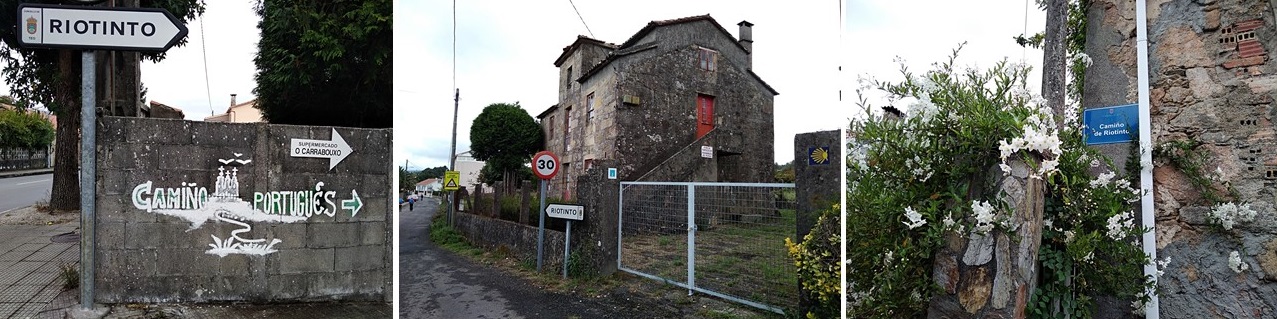 padron to santiago, camino portuguese, porto to santiago, pilgrimage to santiago, the way of st james, walking to santiago, pilgrimage to santiago de compostela, not just a granny, visit spain,