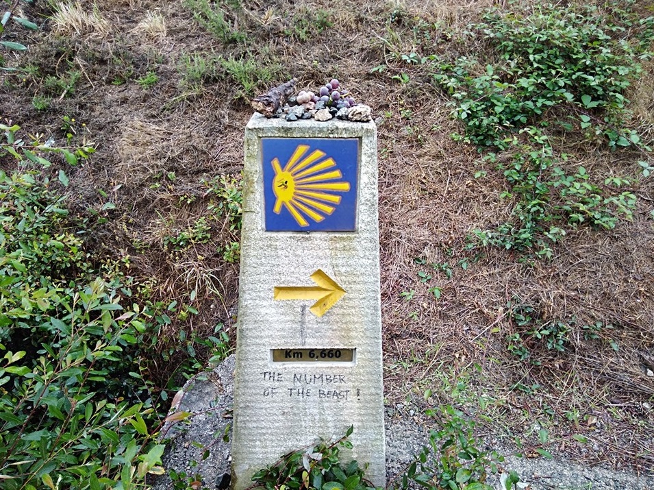 padron to santiago, camino portuguese, porto to santiago, pilgrimage to santiago, the way of st james, walking to santiago, pilgrimage to santiago de compostela, not just a granny, visit spain,