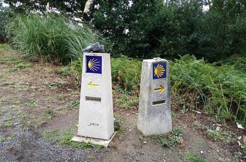 padron to santiago, camino portuguese, porto to santiago, pilgrimage to santiago, the way of st james, walking to santiago, pilgrimage to santiago de compostela, not just a granny, visit spain,