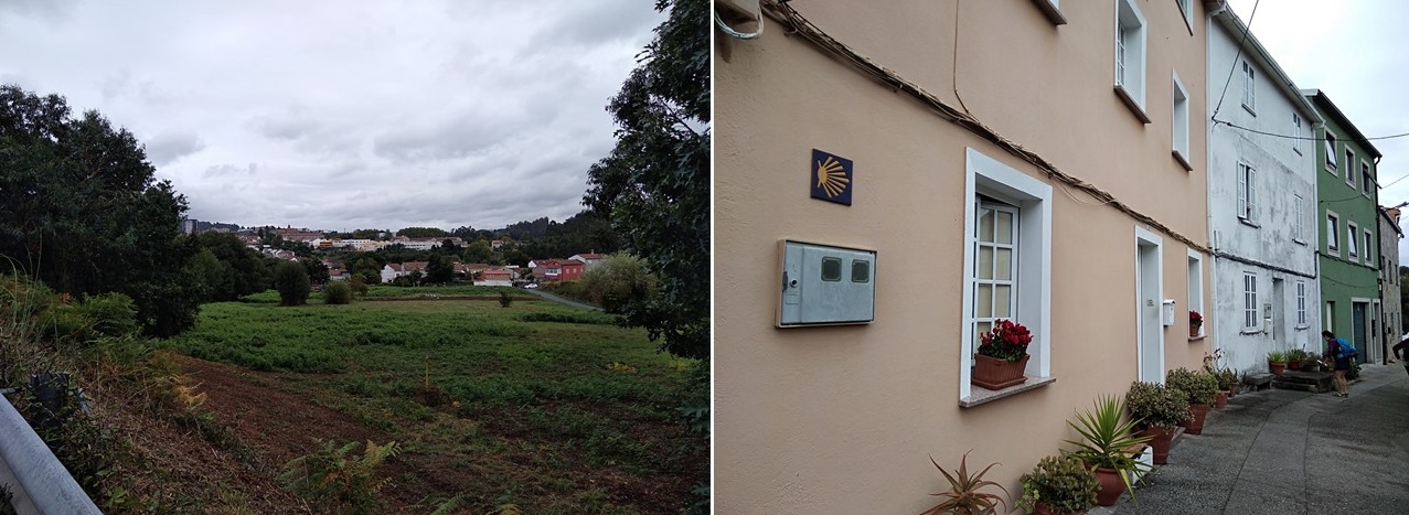 padron to santiago, camino portuguese, porto to santiago, pilgrimage to santiago, the way of st james, walking to santiago, pilgrimage to santiago de compostela, not just a granny, visit spain,