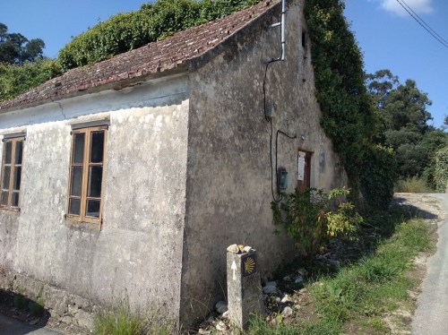 camino de santiago, porto to santiago, portuguese coastal route, portuguese central way, tui to santiago, pilgrimage to santiago, solo women on the camino, camino for women over 60, baby boomers travel, walk 1000 miles