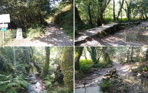 camino de santiago, porto to santiago, portuguese coastal route, portuguese central way, tui to santiago, pilgrimage to santiago, solo women on the camino, camino for women over 60, baby boomers travel, walk 1000 miles