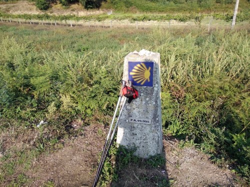 camino de santiago, porto to santiago, portuguese coastal route, portuguese central way, tui to santiago, pilgrimage to santiago, solo women on the camino, camino for women over 60, baby boomers travel, walk 1000 miles