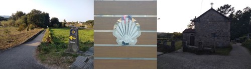 camino de santiago, porto to santiago, portuguese coastal route, portuguese central way, tui to santiago, pilgrimage to santiago, solo women on the camino, camino for women over 60, baby boomers travel, walk 1000 miles