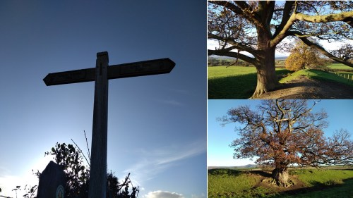 a walk from wales to england, walk 1000 miles, camino practice walks, camino ingles, nordic walking poles, offas dyke, walks in the uk