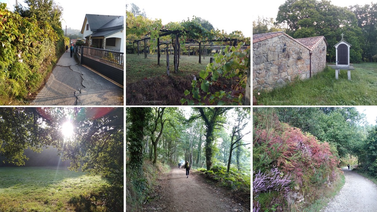 caldas de reis to padron, camino de santiago, porto to santiago, portuguese coastal route, the camino portugues, walk 1000 miles, travel diaries, not just a granny, walking the camino, snapshots of spain,