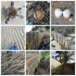 2017-01-11 15.31.50 1425465154924976931_231798962