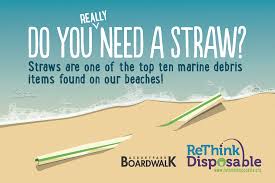 plastic pollution. raising awareness, blue planet 2, plastic pollution, no straw november, raising awareness