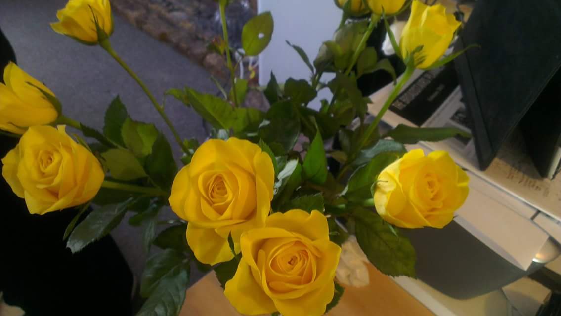 31 days of gratitude, the love of a good woman, a mothers love. remembering my mother