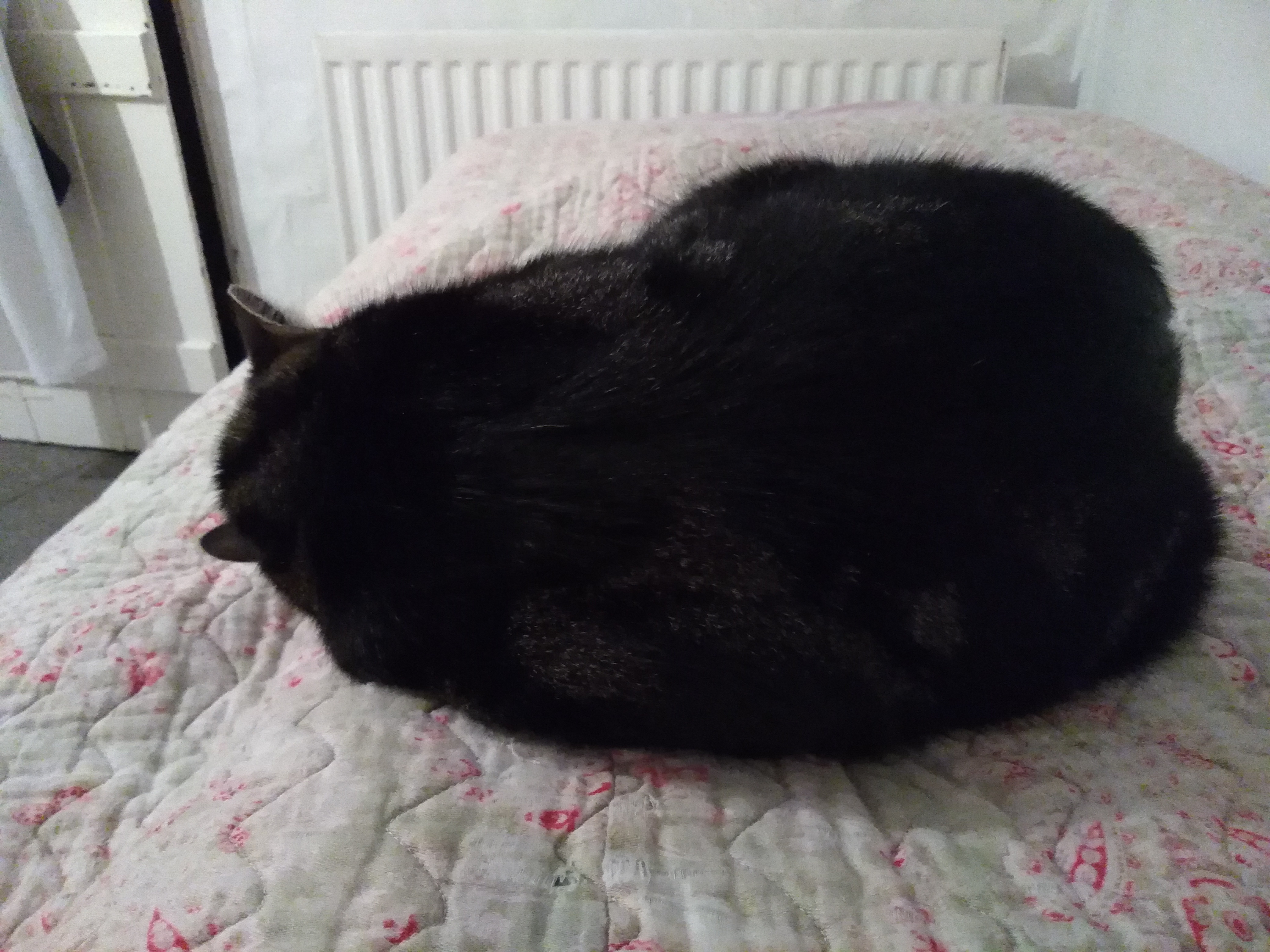 31 days of gratitude