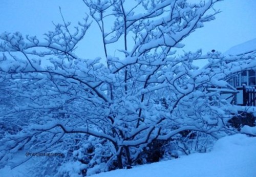 snow in wales, snowing in the uk, winter wonderland,