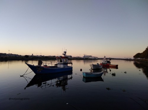 31 days of gratitude, camino de santiago, walking the camino, portuguese coastal route,