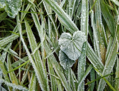 montgomery castle, montogomery, key to the kingdom, castle of the uk, welsh castles, travel diaries, walk 1000 miles, castles in wales,