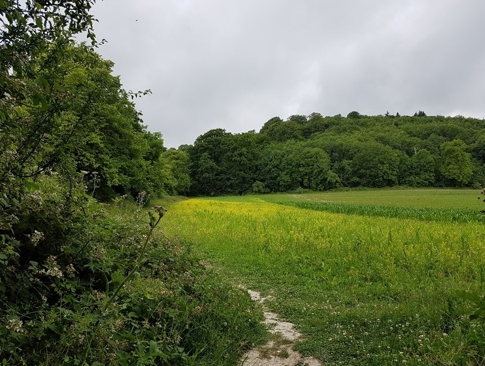 pilgrims way, the pilgrims way winchester to canterbury, walking the pilgrims way, pilgrimage to canterbury, domeday vbook villages, long distance walks in england, national trail england,