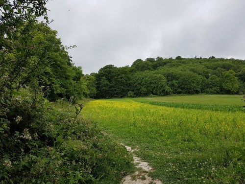 pilgrims way, the pilgrims way winchester to canterbury, walking the pilgrims way, pilgrimage to canterbury, domeday vbook villages, long distance walks in england, national trail england,