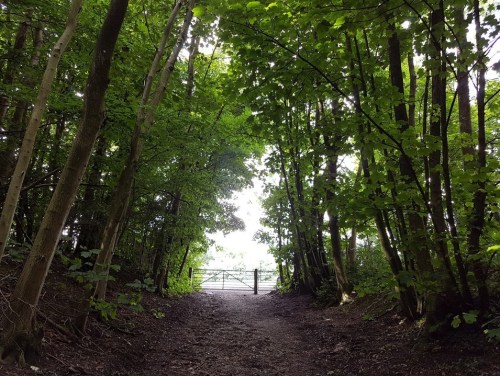 pilgrims way, the pilgrims way winchester to canterbury, walking the pilgrims way, pilgrimage to canterbury, domeday vbook villages, long distance walks in england, national trail england,