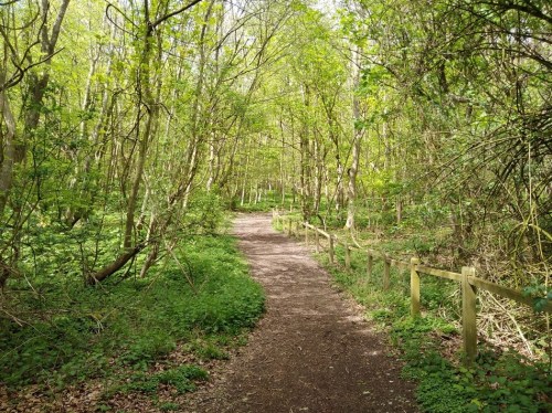 the pilgrims way north downs, follow the pilgrims way, pilgrims way winchester to canterbury