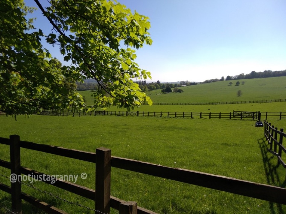 titsey place, the pilgrims way north downs, follow the pilgrims way, pilgrims way winchester to canterbury