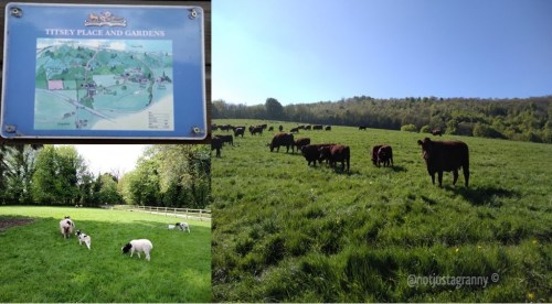 Titsey Place and Gardens