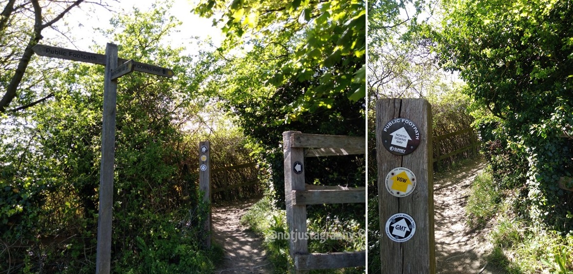 the pilgrims way north downs, follow the pilgrims way, pilgrims way winchester to canterbury