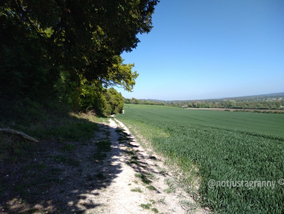 the pilgrims way north downs, follow the pilgrims way, pilgrims way winchester to canterbury