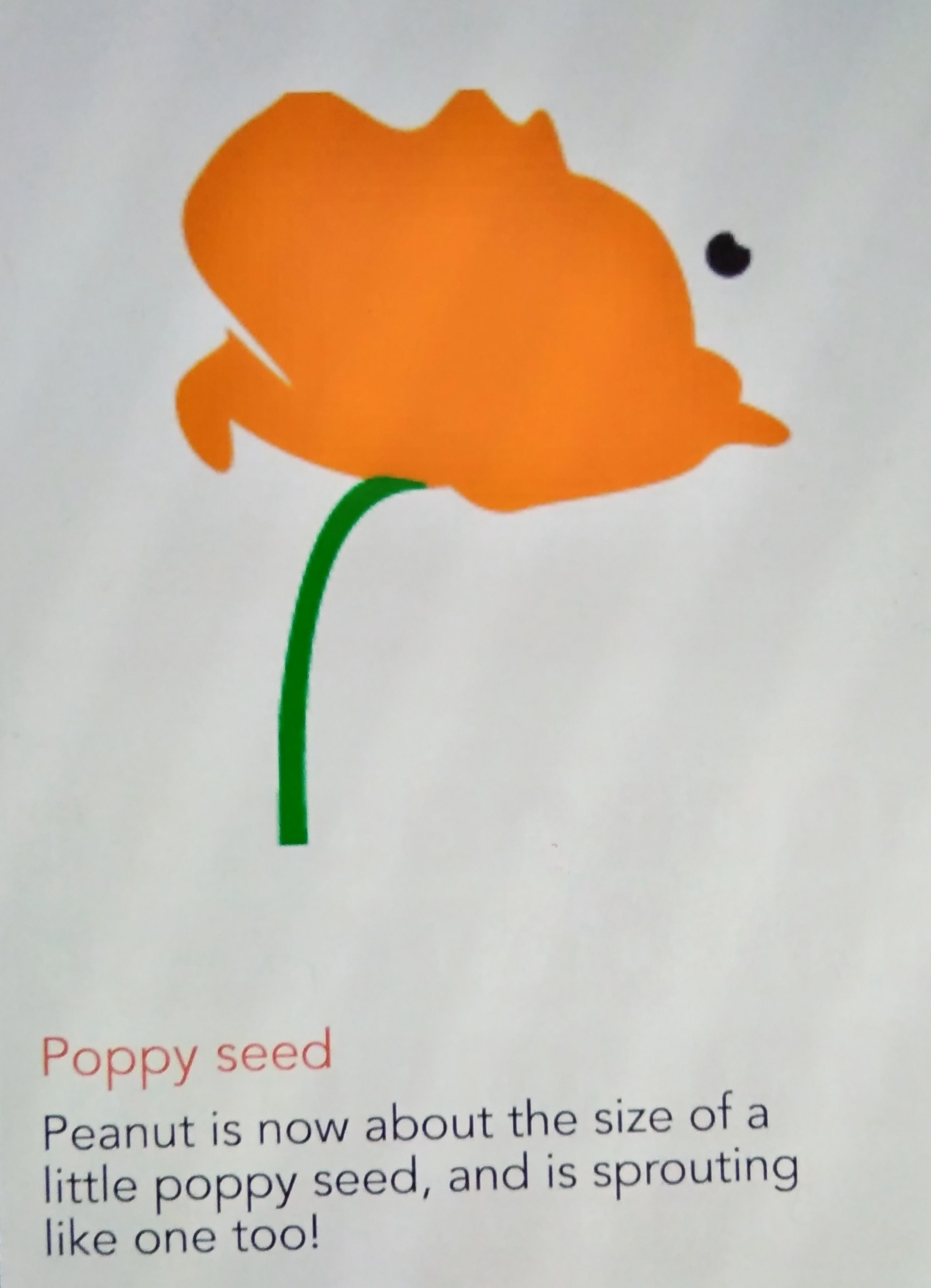 20180512 the miracle of life