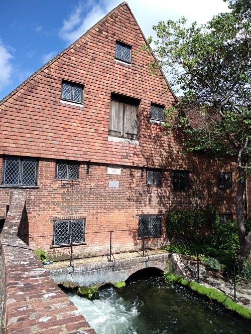 the wiers river itchen winchester, winchester, city of winchester, explore winchester, king alfreds walk, river itchen, eastgate bridge, the watermill winchester