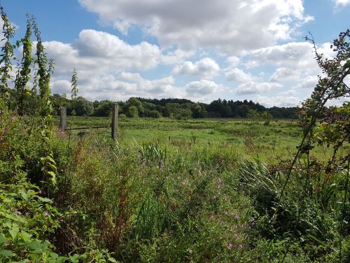 walking the pilgrims way, winchester to canterbury, walking the pilgrims way, long distance walking, solo walking for women