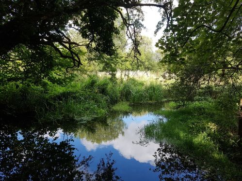 walking the pilgrims way, winchester to canterbury, walking the pilgrims way, long distance walking, solo walking for women