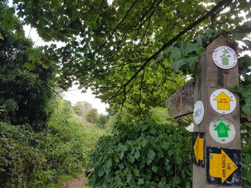 churches along the pilgrims way, winchester to alresford, walking the pilgrims way, walkers welcome, winchester to canterbury