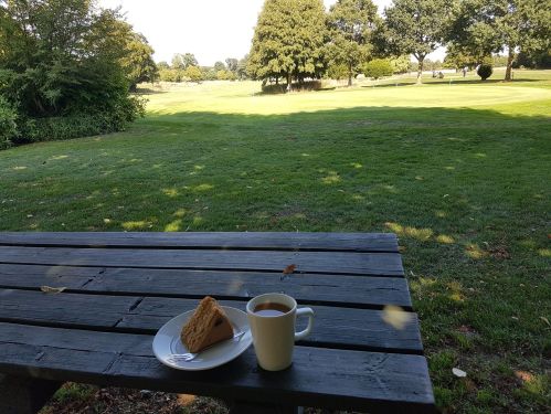 walking the pilgrims way, walkers welcome, winchester to canterbury