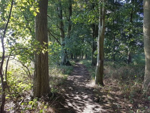 take your pick......The Pilgrim's Way, The Watercress Way, Allan King Way, St Swithun's way, The Itchen Way, walling the pilgrims way, winchester to canterbury, long distance walks uk, solo walking for women, quintessential england
