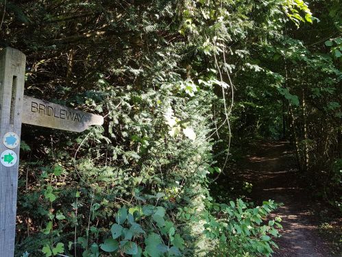 take your pick......The Pilgrim's Way, The Watercress Way, Allan King Way, St Swithun's way, The Itchen Way, walling the pilgrims way, winchester to canterbury, long distance walks uk, solo walking for women, quintessential england