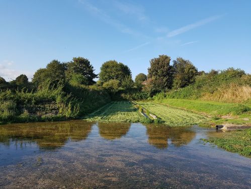 take your pick......The Pilgrim's Way, The Watercress Way, Allan King Way, St Swithun's way, The Itchen Way, walling the pilgrims way, winchester to canterbury, long distance walks uk, solo walking for women, quintessential england