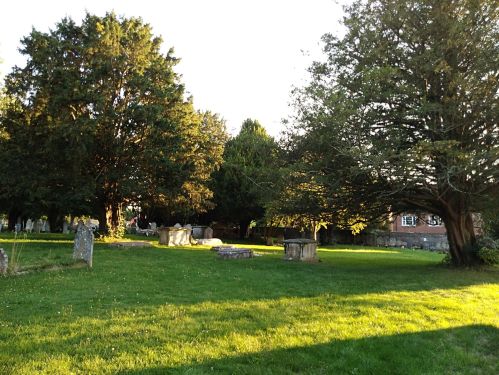 take your pick......The Pilgrim's Way, The Watercress Way, Allan King Way, St Swithun's way, The Itchen Way, walling the pilgrims way, winchester to canterbury, long distance walks uk, solo walking for women, quintessential england