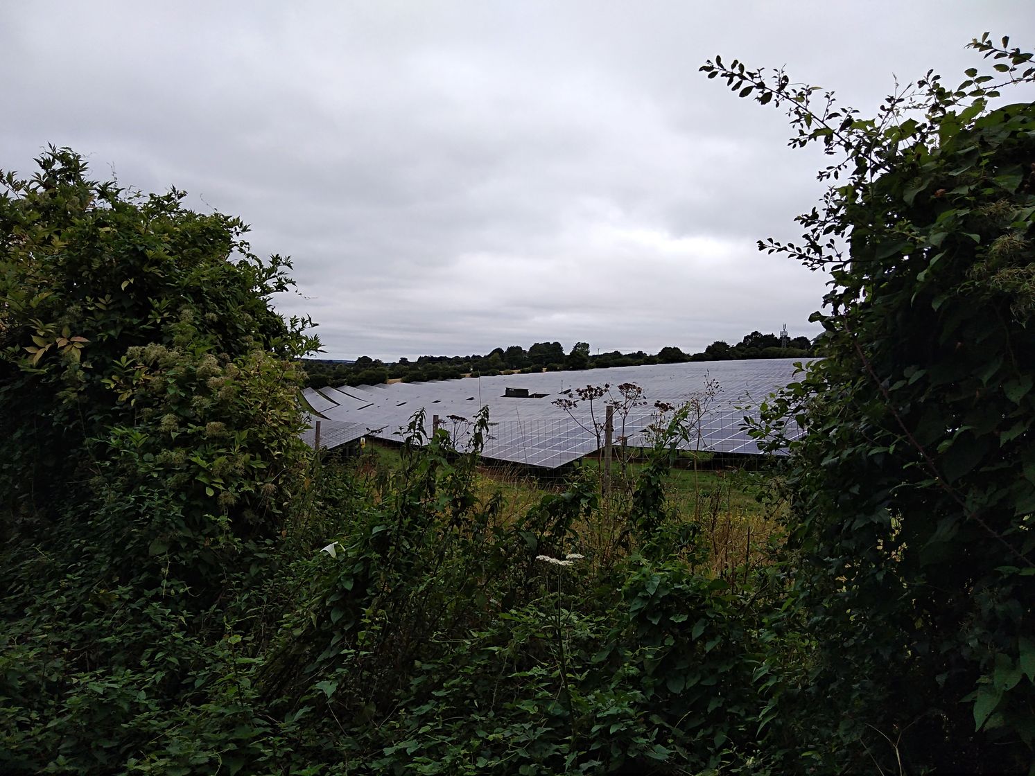 st swithuns way, walking the pilgrims way, winchester to canterbury along the pilgrims way, long distance walks uk, solo walking for women, explore england, walking the pilgrims way to canterbury