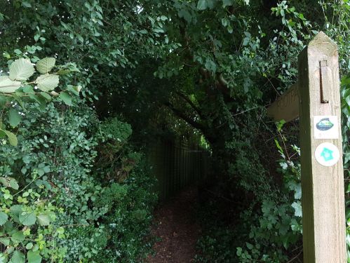 st swithuns way, walking the pilgrims way, winchester to canterbury along the pilgrims way, long distance walks uk, solo walking for women, explore england, walking the pilgrims way to canterbury