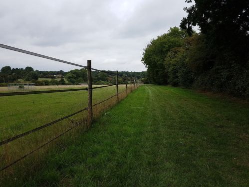 walking the pilgrims way, winchester to canterbury along the pilgrims way, long distance walks uk, solo walking for women, explore england, walking the pilgrims way to canterbury
