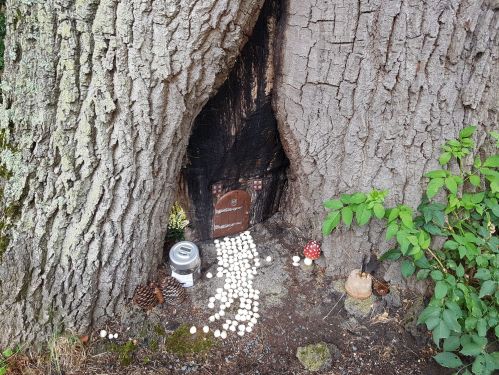 walking the pilgrims way, map my walk, winchester to canterbury along the pilgrims way, long distance walks uk, solo walking for women, domesday book villages, day 3 alton to farnham