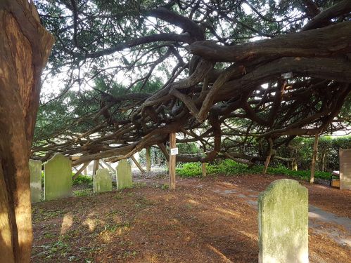 walking the pilgrims way, map my walk, winchester to canterbury along the pilgrims way, long distance walks uk, solo walking for women, domesday book villages, day 3 alton to farnham