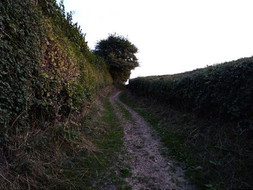 walking the pilgrims way, map my walk, winchester to canterbury along the pilgrims way, long distance walks uk, solo walking for women, domesday book villages, day 3 alton to farnham